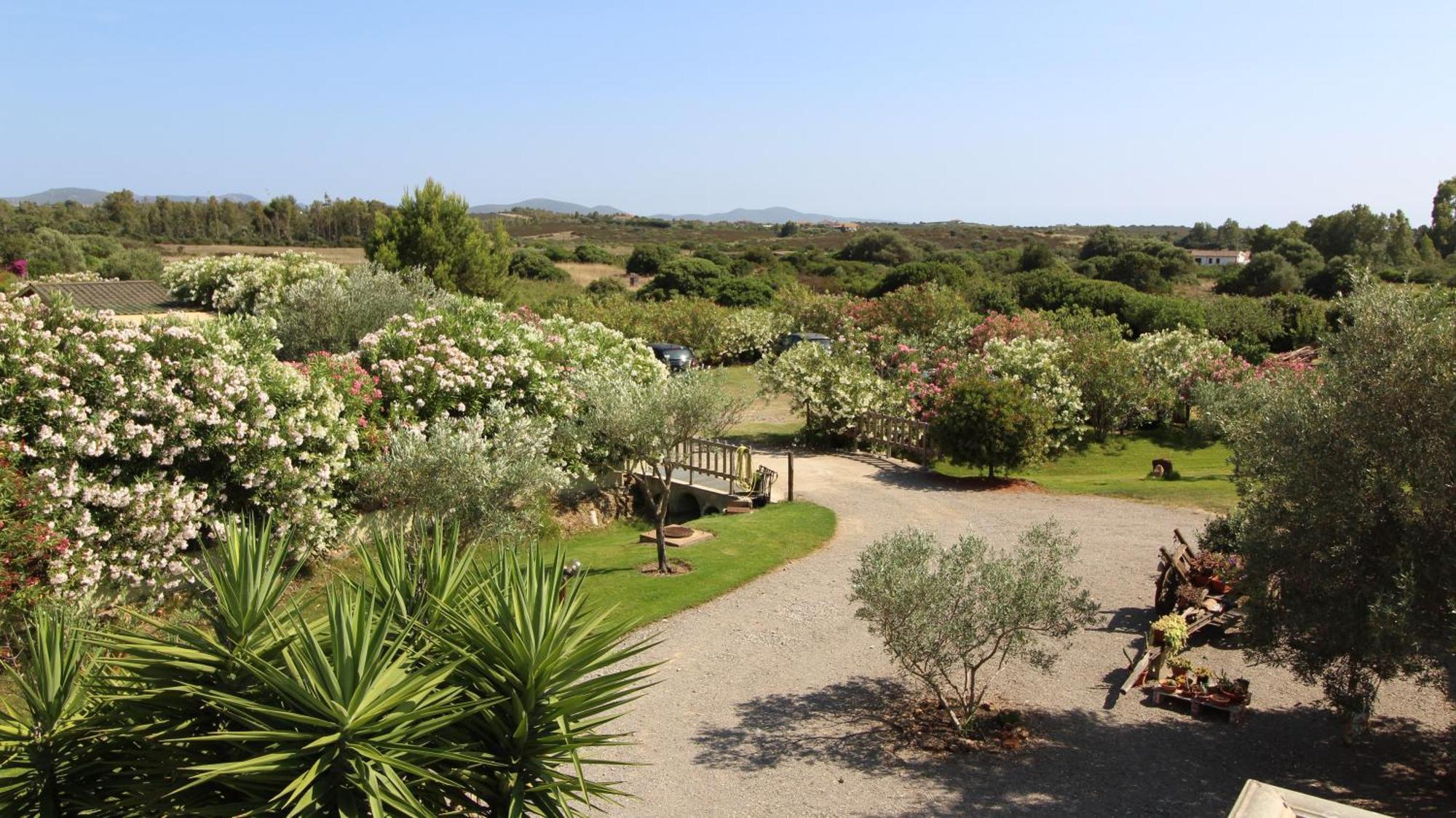 Casa Vacanze Giovanna Βίλα SantʼAnna Arresi Εξωτερικό φωτογραφία